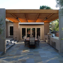 DD's Backyard