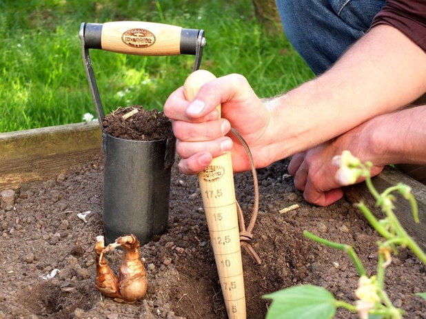 Кантри Сад by Botanique &eacute;ditions