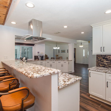 Kitchen/Living/Dining Space Renovation