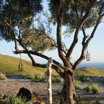 Hollister Ranch