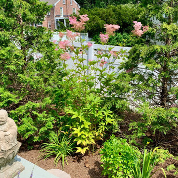 Back border