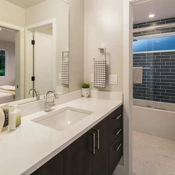 Luxe Panoramic Contemporary