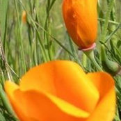 Lori Van Dyck's photo