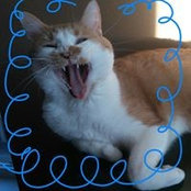 Jessica Brom's photo