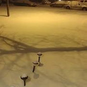 Lawrence Wilson's photo