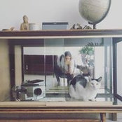 Laura Pavese's photo