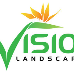 Vision Landscape