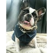 Sommer Dunsmuir's photo