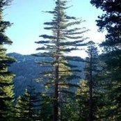 Heidi Erdle's photo