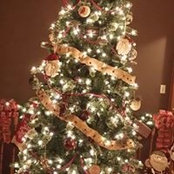 Sherri Caudill's photo