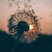 Patty Dawson's photo