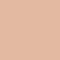 Warming Peach - Paint