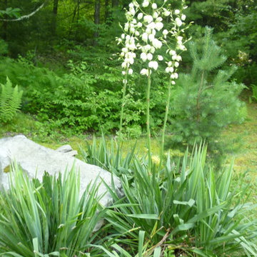 Catskill Mountain Project