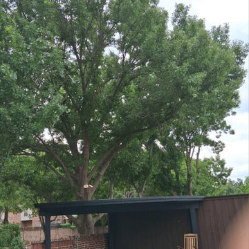 Landscaping & Tree Work — Plano, TX