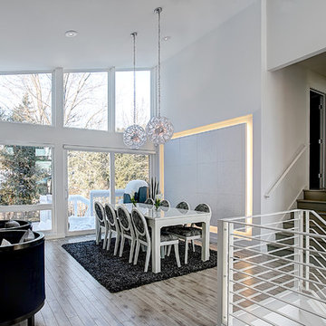 Mid-century Modern Urban infill