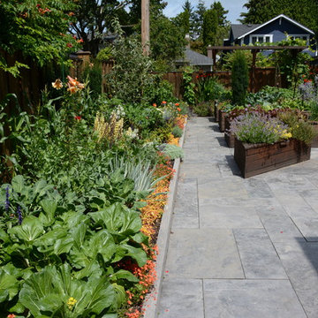 Raised Vegetable Bed / Ornamental Garden 2016