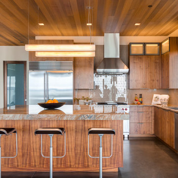 Bayside Gem, Tiburon
