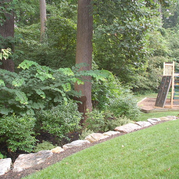 Suburban Garden
