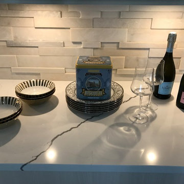 Contempo KItchen Remodel