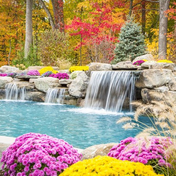 Freeform swimming pool with a raised spa and grotto, Mahwah, NJ