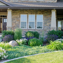Colorado front yard
