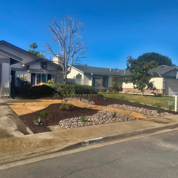 Mira Mesa Lawn Replacement