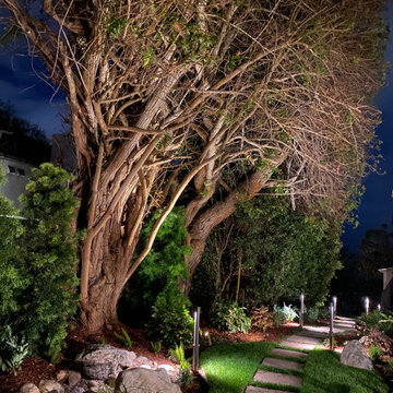 La Jolla Restoration