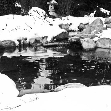 Ponds are gorgeous in the winter and all year round