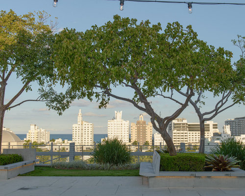 New World Symphony Gardens