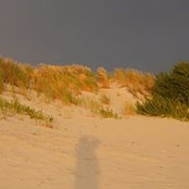 Foto von Michael Walker