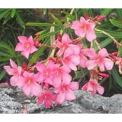 Bonnie Keller's photo