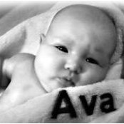 George Kloos's photo