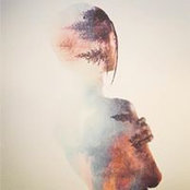 Michelle Cole's photo