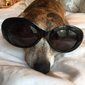 Jessica Summerfield's photo