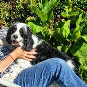 Mark Berman's photo