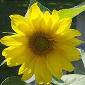 Beth Clark's photo