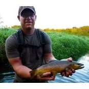 Dan Severson's photo