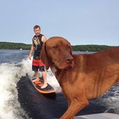 Andrew Corkill's photo