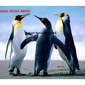 Foto von Maria Margraf