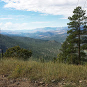 David Gann's photo