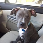 Dena Davis's photo