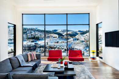 Living room - rustic living room idea in Salt Lake City