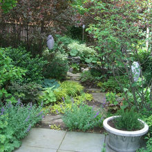 front yard