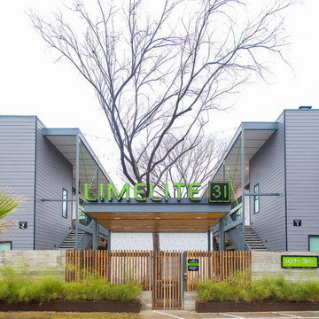 Limelite 31