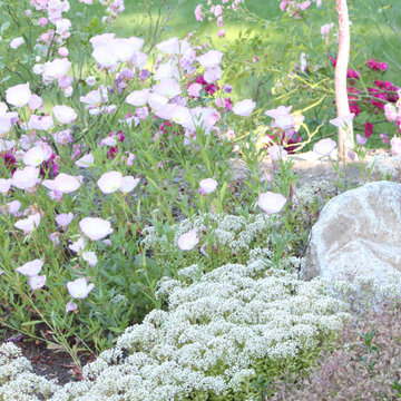 Oyster Bay View Gardens