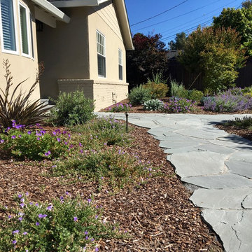 Los Altos No Lawn, Low Water