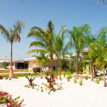 Tropical Design & Installation - West Bradenton