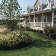 backyard/garden
