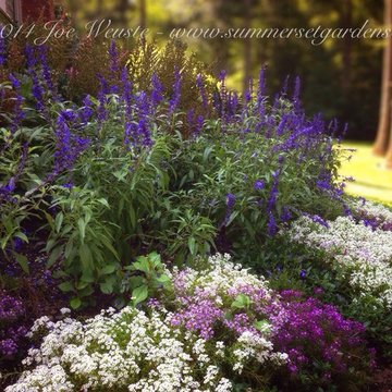 Front Yard Flower Bed in August