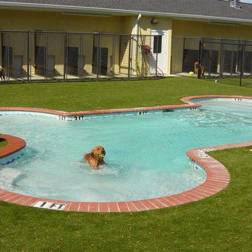 Southwest Greens Artificial Turf